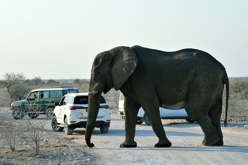 파일:240910 080918.jpg