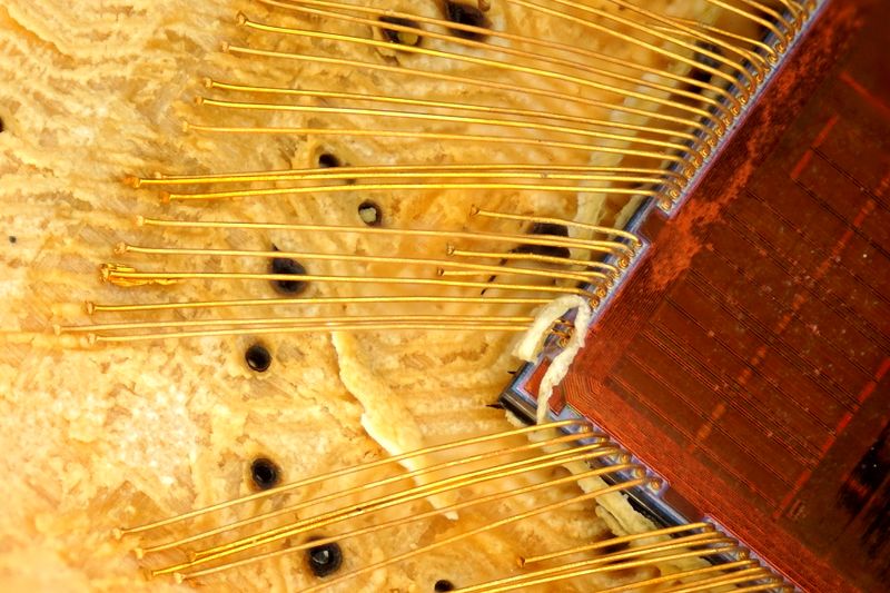 파일:sh170 018.jpg