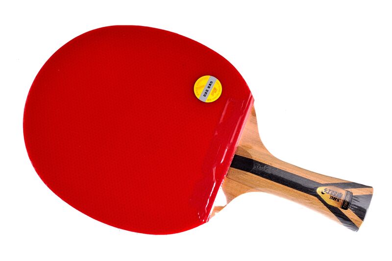 파일:table tennis01 003.jpg