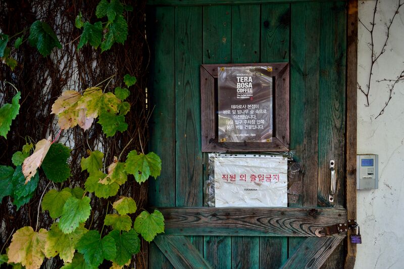 파일:terarosa24 005.jpg