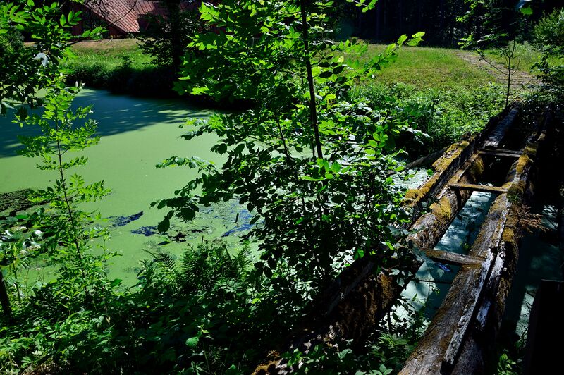 파일:230620 101346.jpg