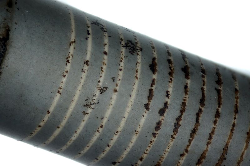 파일:axial r08 004.jpg