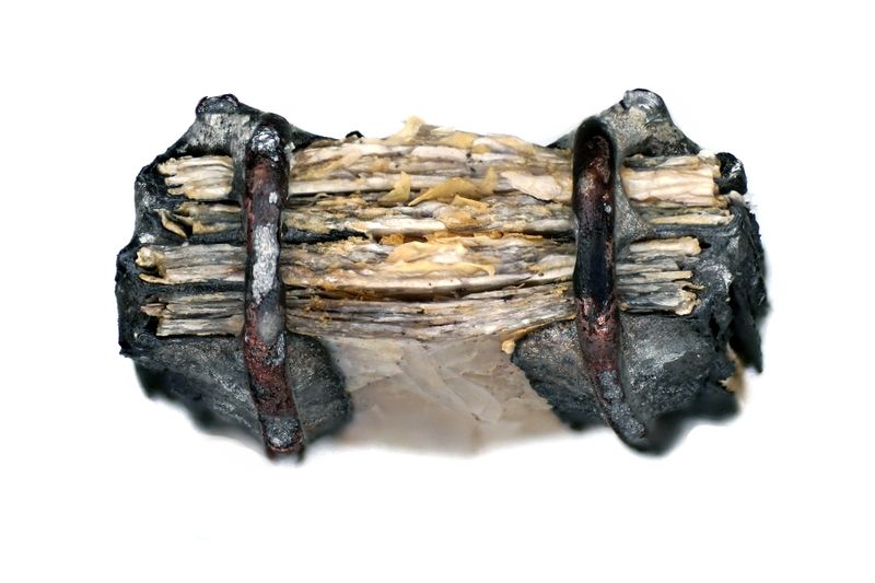 파일:mica03 005.jpg