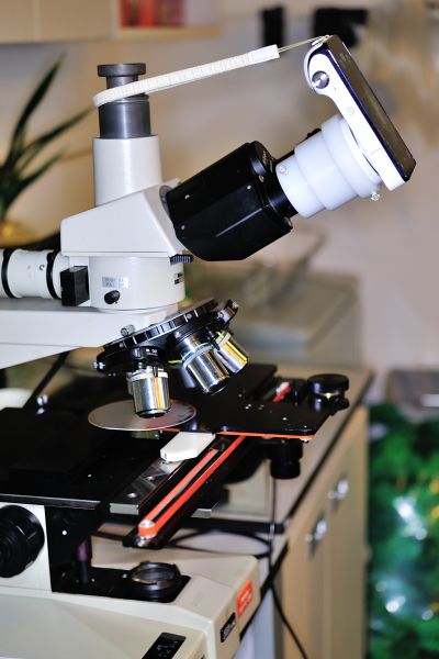 파일:nikon1 017.jpg