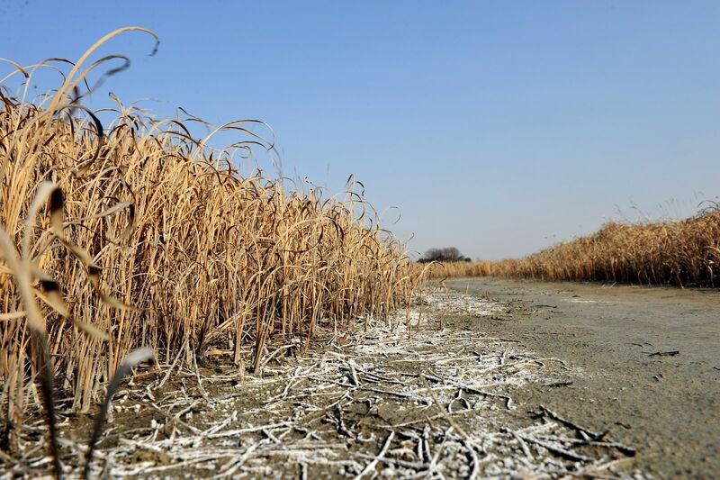 파일:120331 162152.jpg