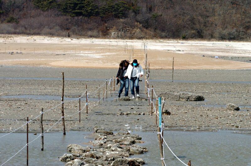 파일:muuido04 022.jpg