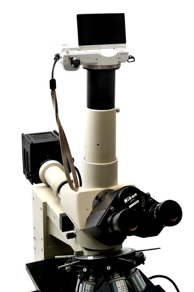 파일:nikon1 023.jpg