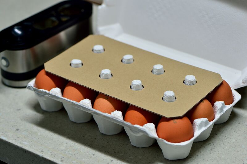파일:egg chicken02 02 001.jpg
