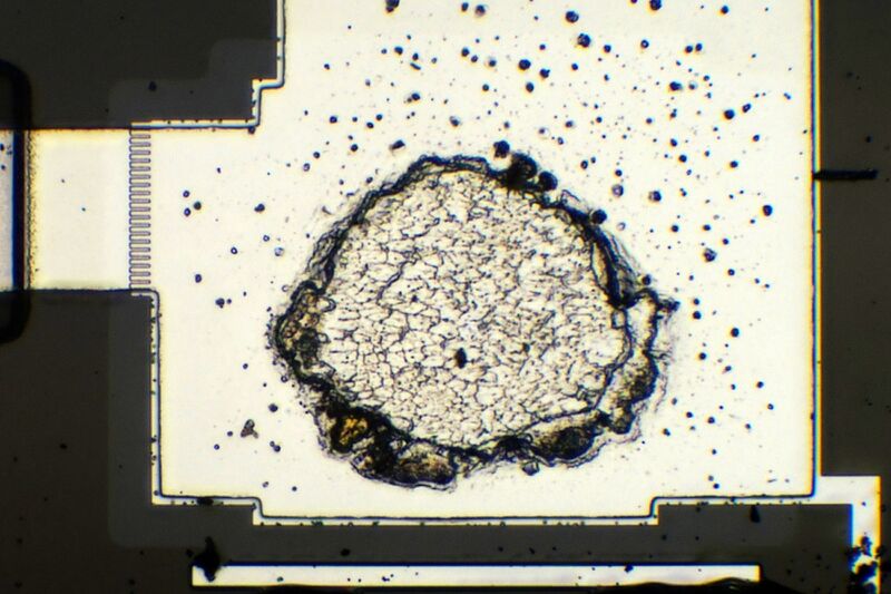 파일:sm g955n 064 009.jpg