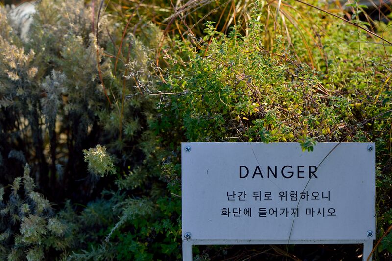 파일:le detour01 010.jpg