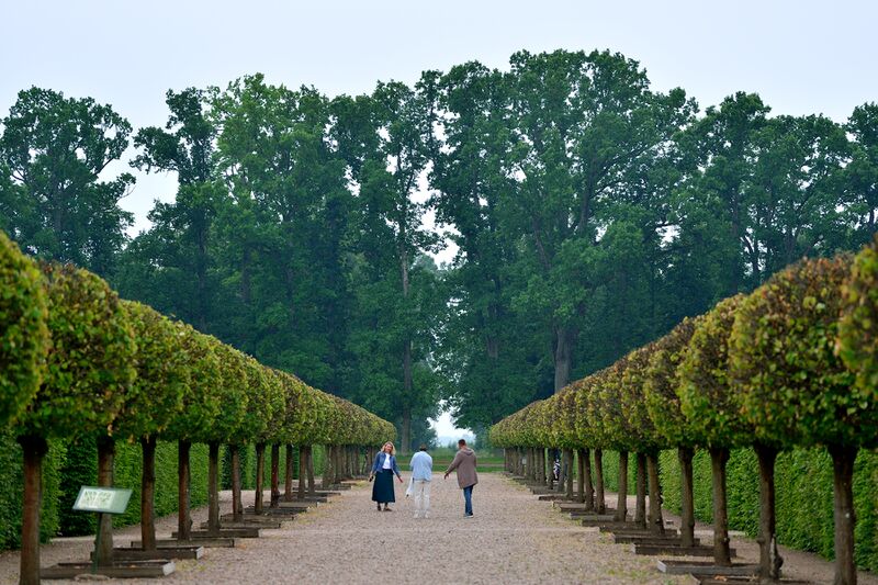 파일:230618 170110.jpg