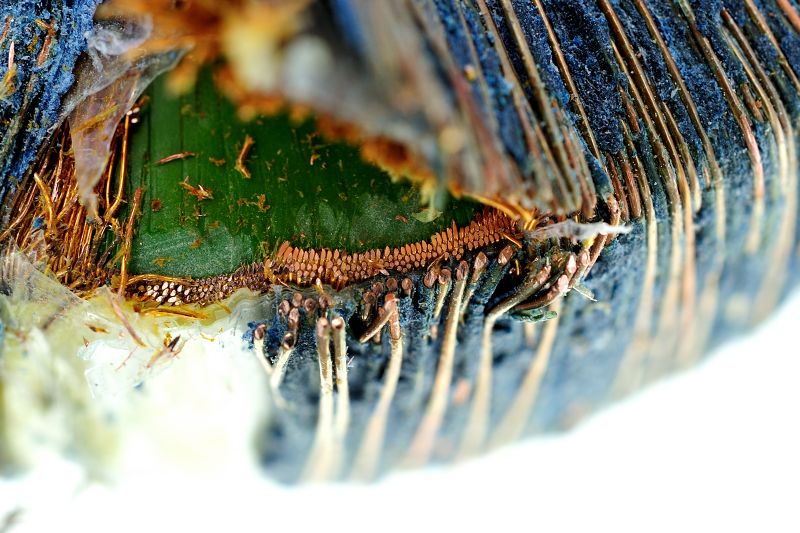 파일:transformer04 003.jpg