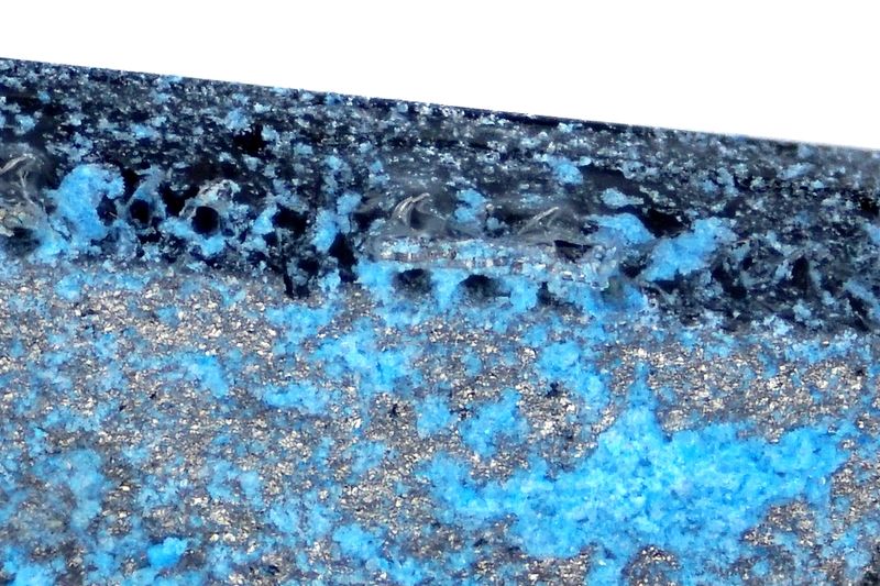 파일:saw if tv02 008 006.jpg