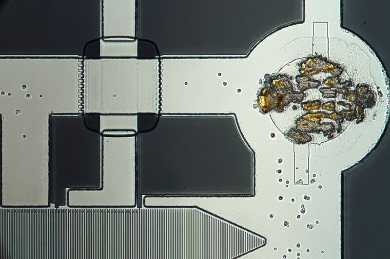 파일:teclast p80x 009 006 003.jpg