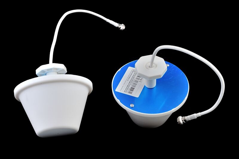 파일:dome ant01 001.jpg