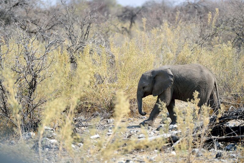 파일:240910 154228.jpg