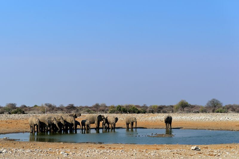 파일:240910 161712.jpg