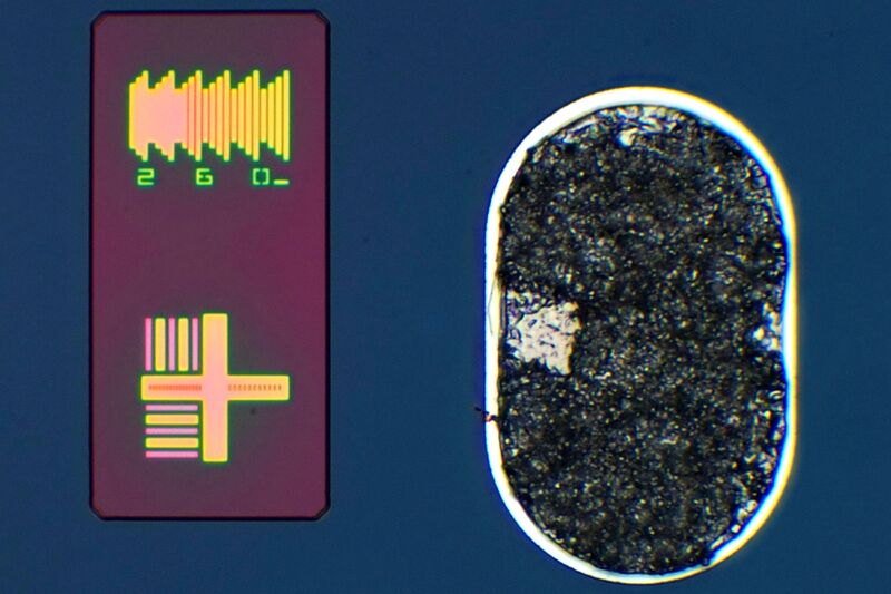 파일:s10 5g01 042 003.jpg