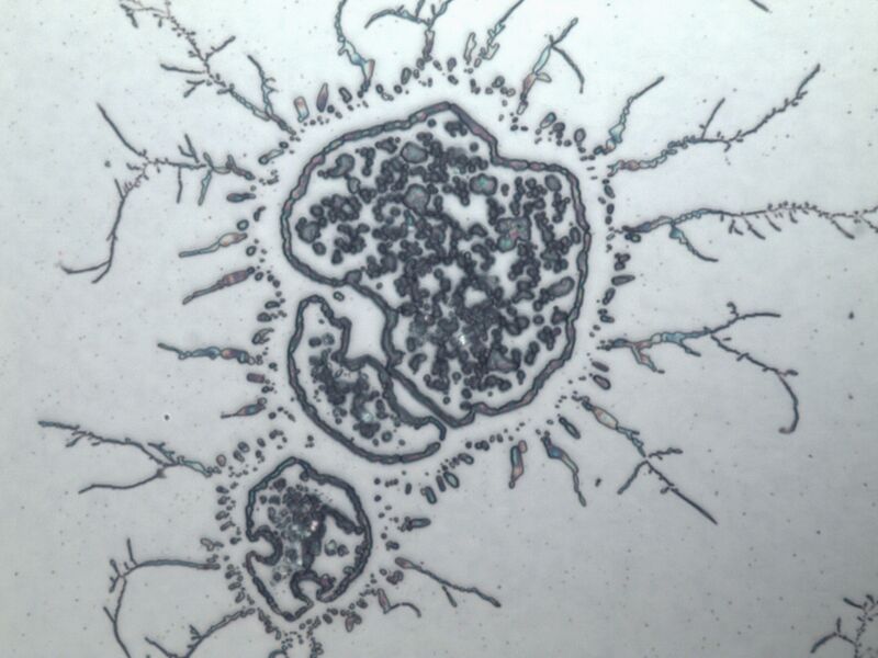 파일:water spot03 001.jpg