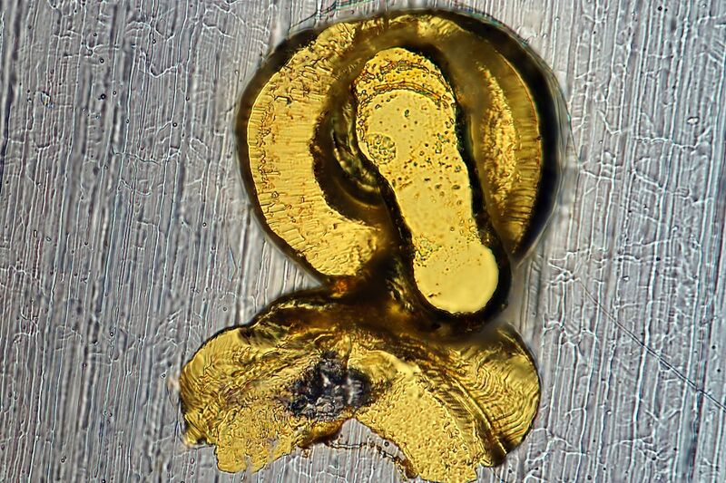 파일:flip3 01 101.jpg