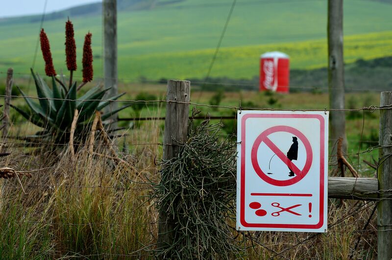 파일:240903 105250.jpg