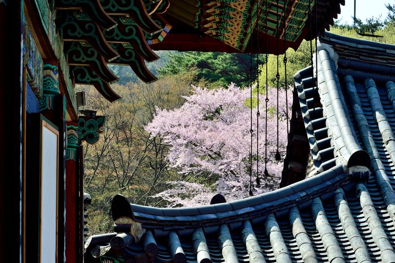 파일:gaesimsa26 006.jpg