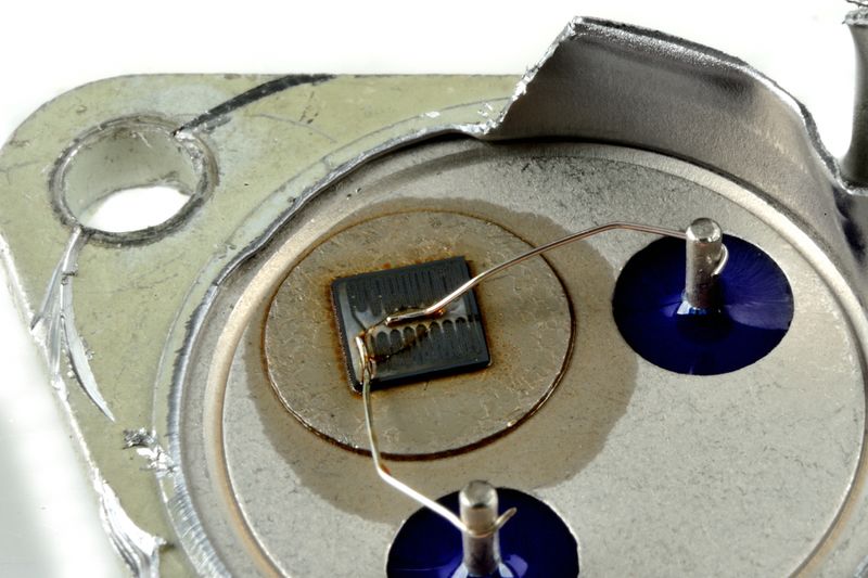 파일:nikon1 060.jpg