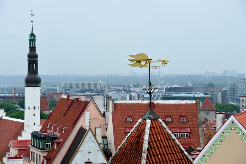 파일:230622 103032.jpg