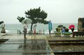 2026년 7월 30일 (목) 15:38 판의 섬네일