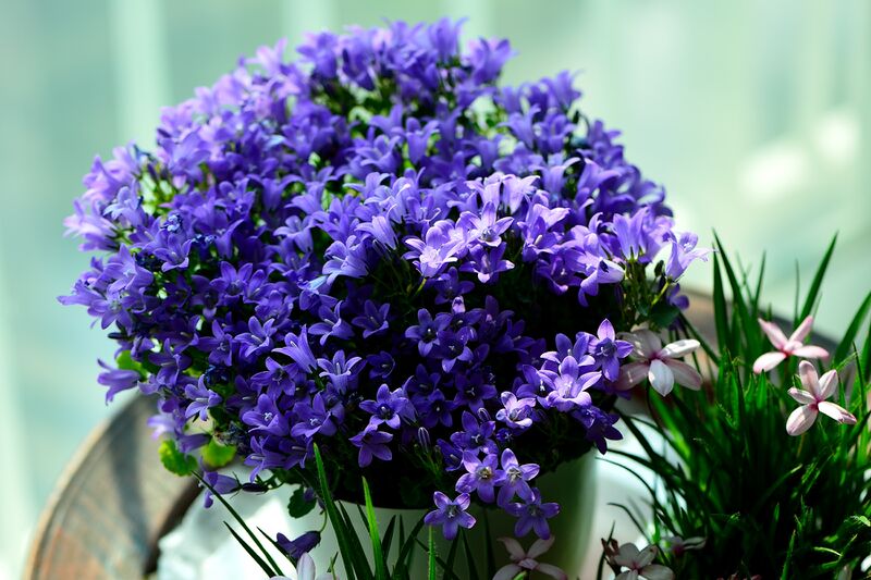 파일:220403 151300.jpg