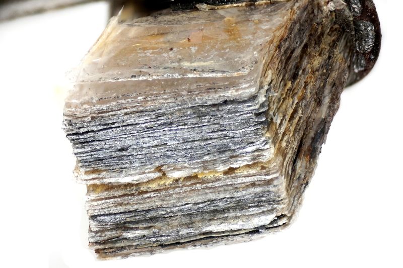 파일:mica03 006.jpg