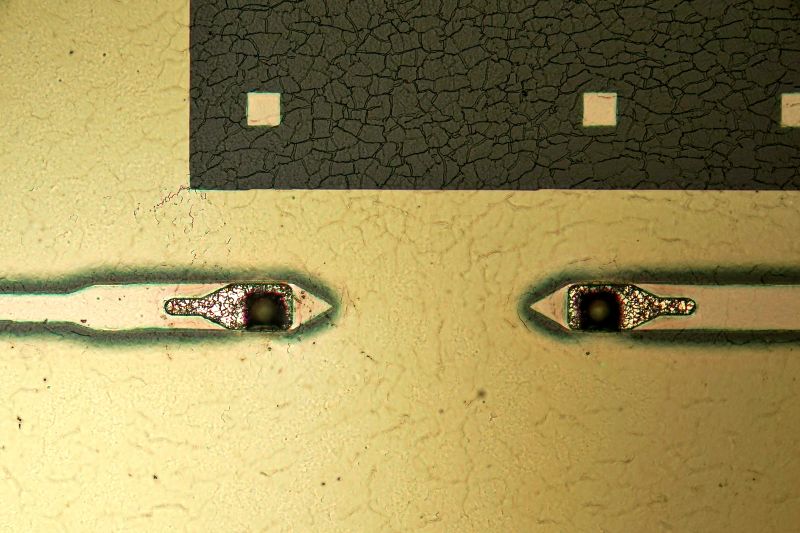 파일:pyramid microscrub01 004.jpg