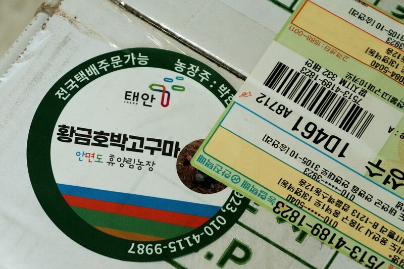 파일:potato sweet01 003.jpg