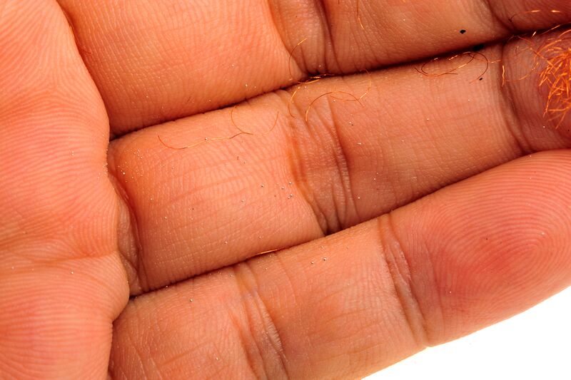 파일:tr6878 033 008.jpg