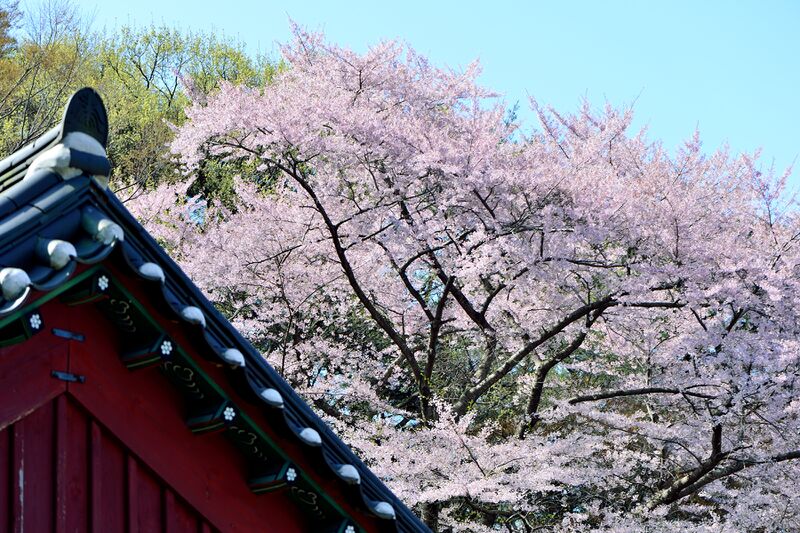 파일:gaesimsa26 010.jpg