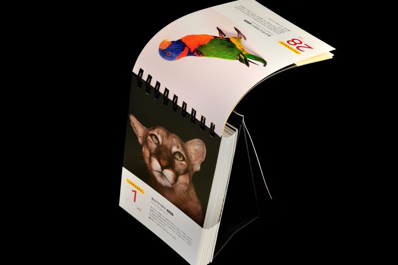 파일:calendar01 004.jpg