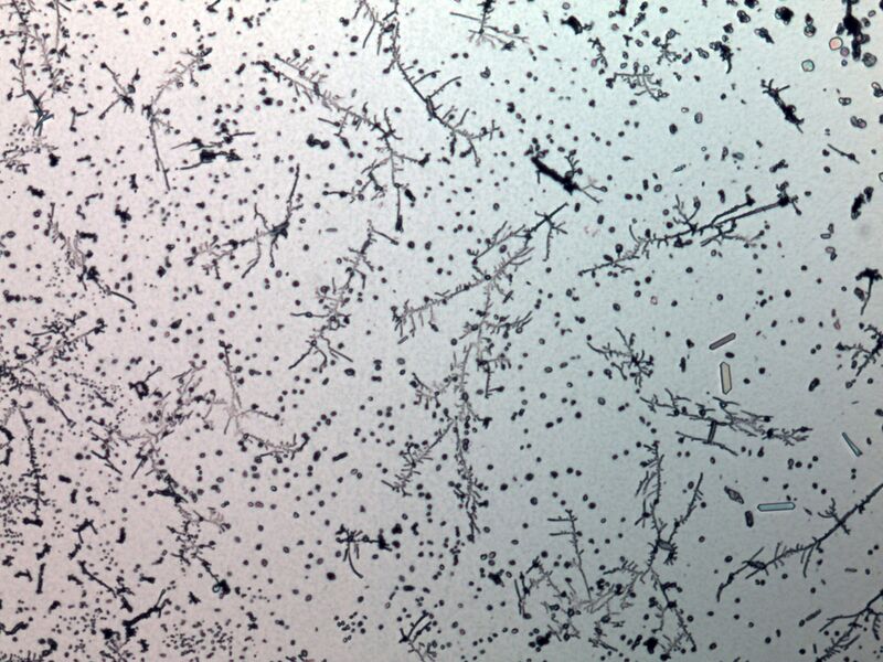 파일:water spot01 010.jpg