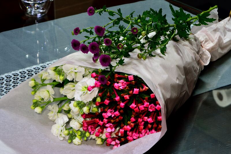 파일:flower02 002.jpg