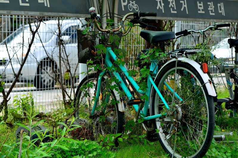 파일:hwaseong25 085.jpg