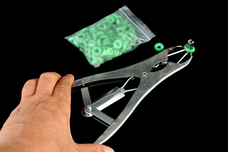 파일:plier expander02 001.jpg