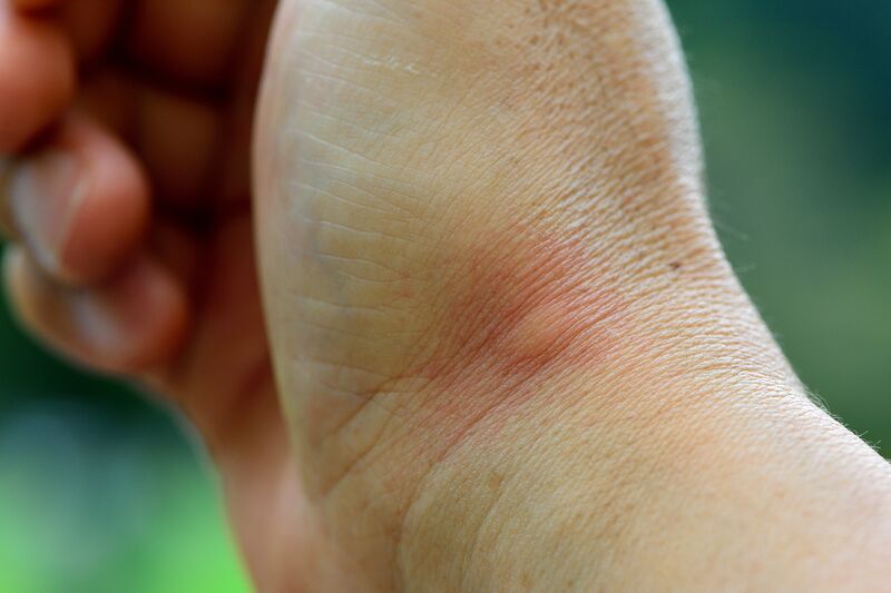 파일:body01 002 001.jpg