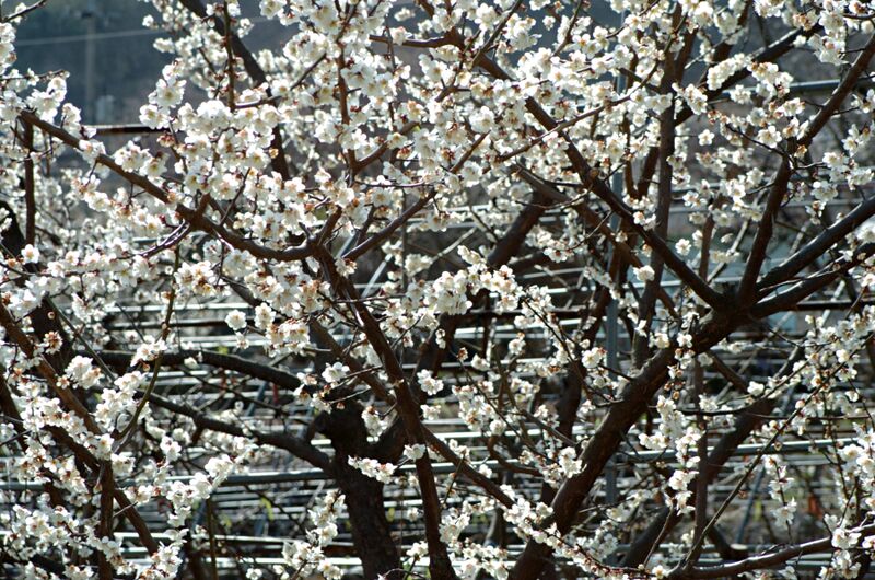 파일:040314 144002.jpg