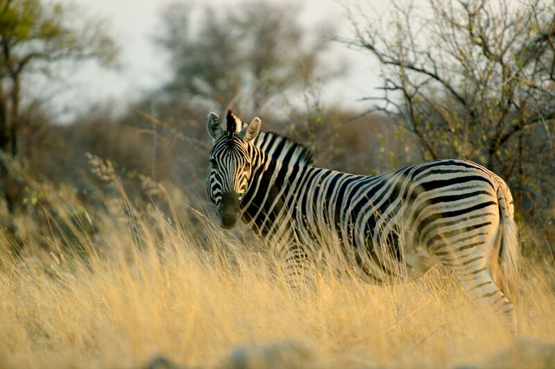 파일:240910 072102.jpg