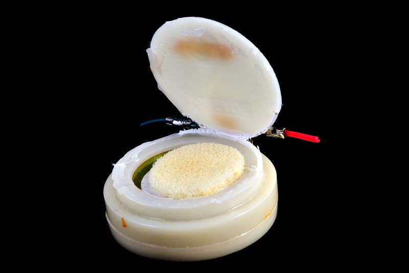 파일:ct1 maxon01 003 003.jpg