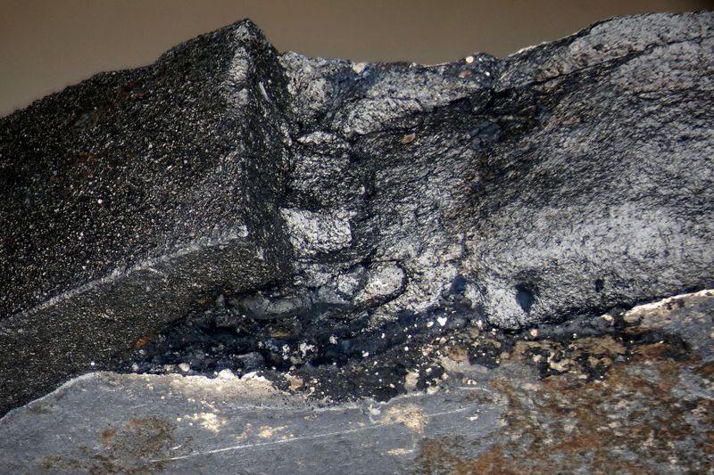 파일:ptc200 079 003 005.jpg