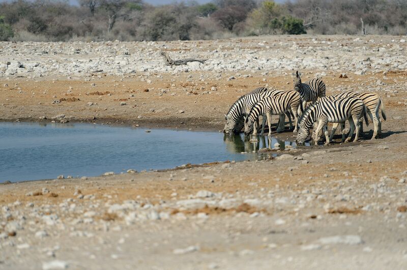 파일:240910 161104.jpg