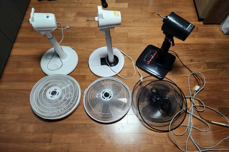 파일:fan00 003 001.jpg