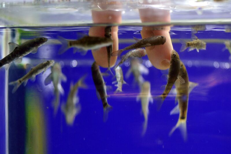 파일:220929 111936.jpg