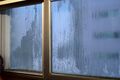 frost window01 001.jpg