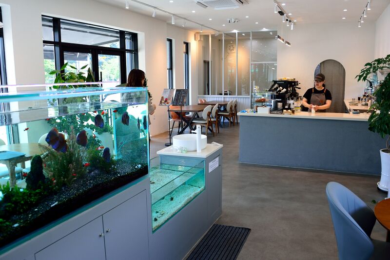 파일:haeum26 002.jpg